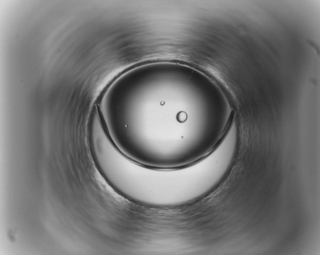 X0000102511468200808151534