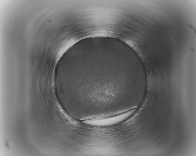 X0000102511469200808151534