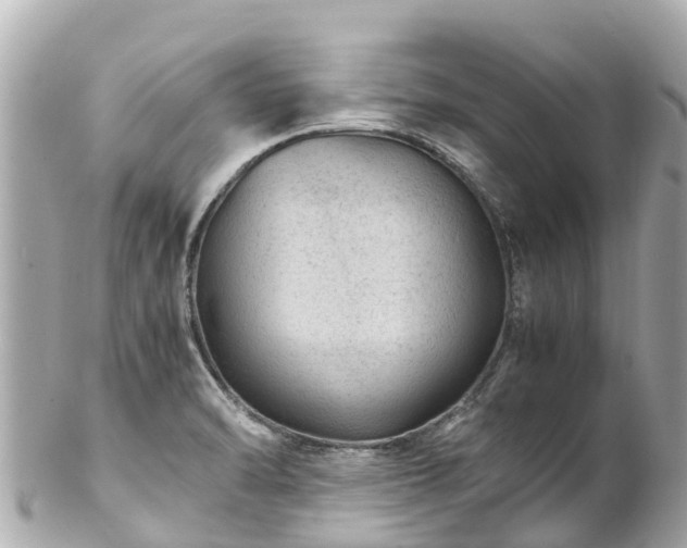 X0000102511470200808151534