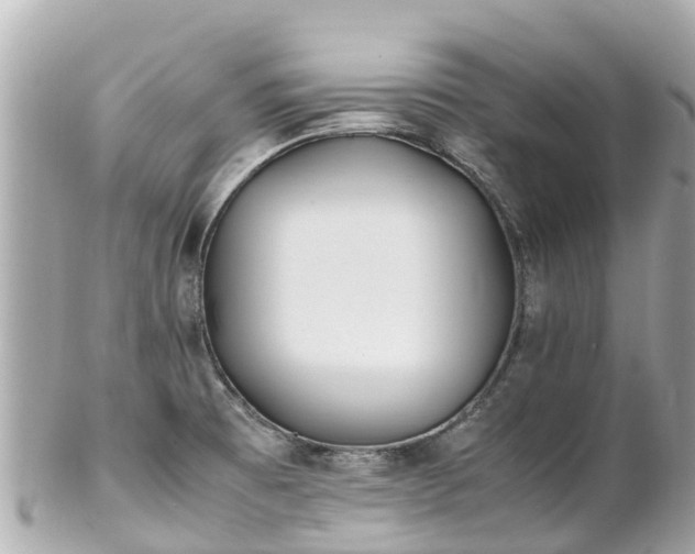 X0000102511473200808151534