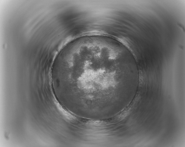 X0000102511474200808151534