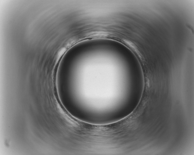 X0000102511475200808151534
