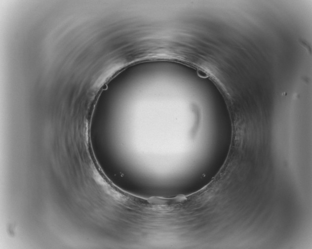 X0000102511476200808151534