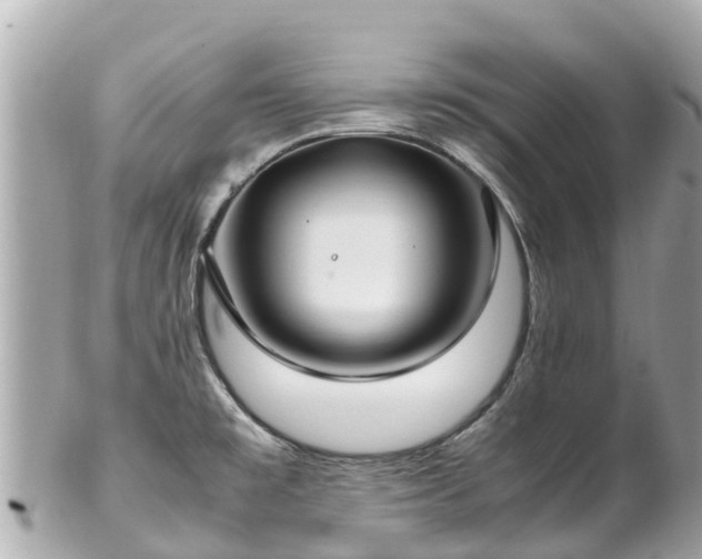 X0000102511477200808151534