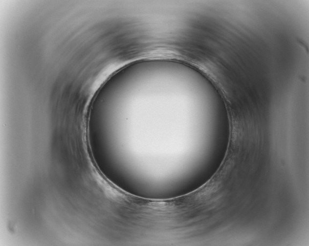 X0000102511478200808151534