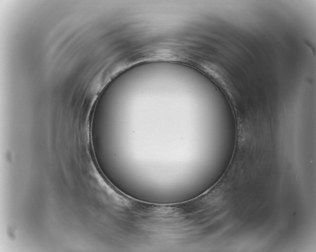 X0000102511479200808151534