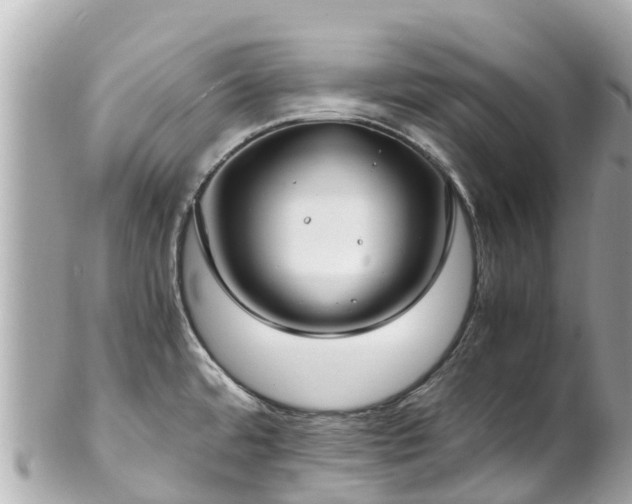 X0000102511480200808151534
