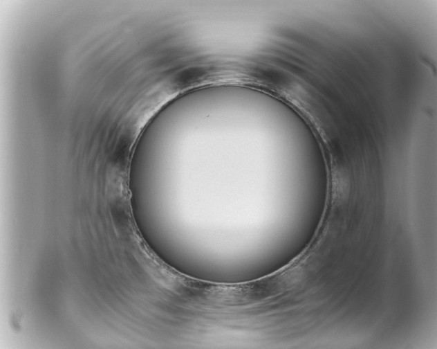 X0000102511481200808151534