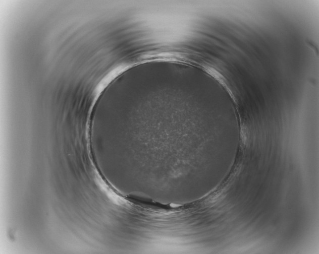 X0000102511482200808151534