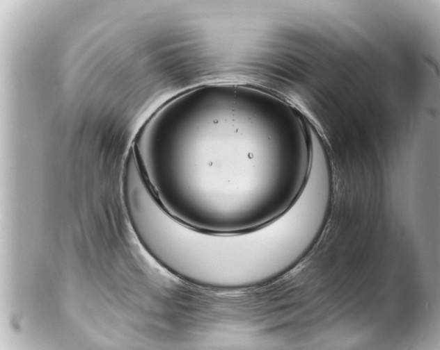 X0000102511484200808151534