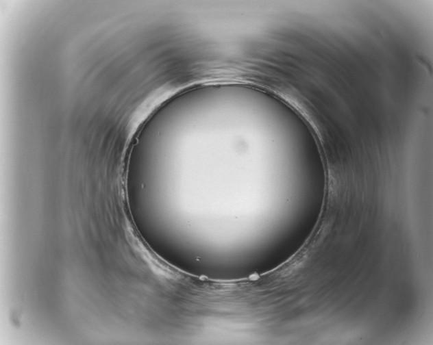 X0000102511485200808151534