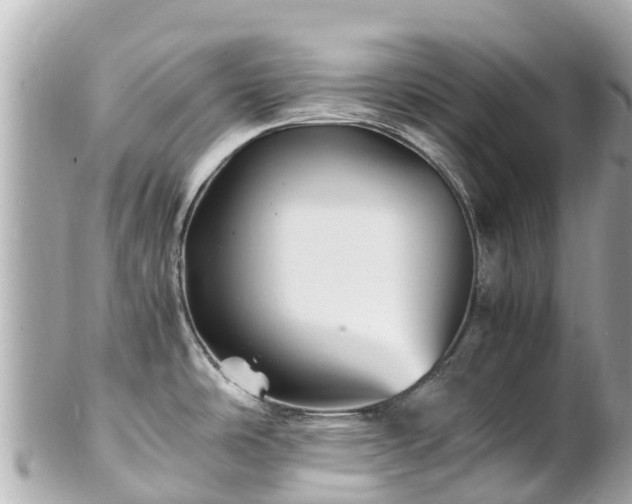 X0000102511486200808151534