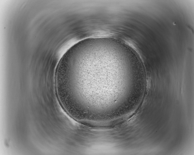 X0000102511487200808151534