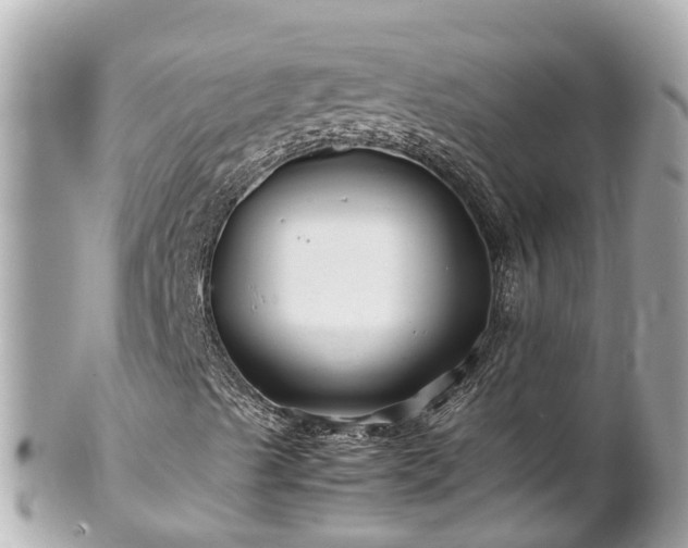 X0000102511489200808151533