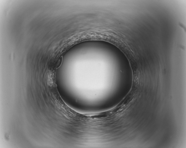 X0000102511490200808151533