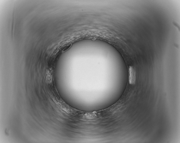 X0000102511491200808151533