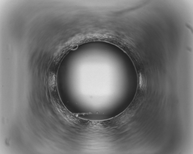 X0000102511492200808151533