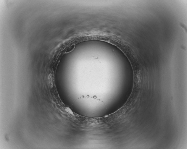 X0000102511493200808151533