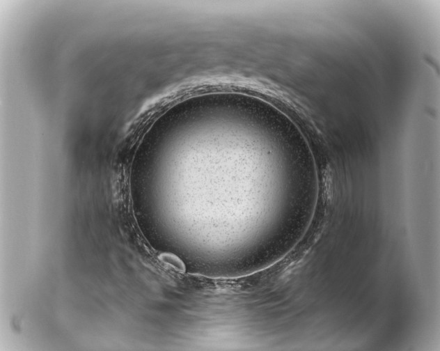 X0000102511494200808151533