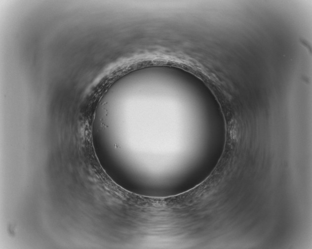 X0000102511495200808151533