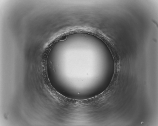 X0000102511496200808151533