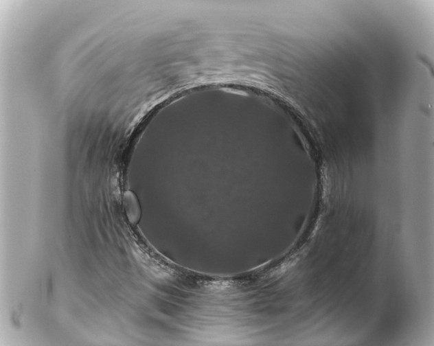 X0000102511497200808151533