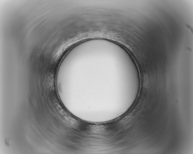 X0000102511499200808151533