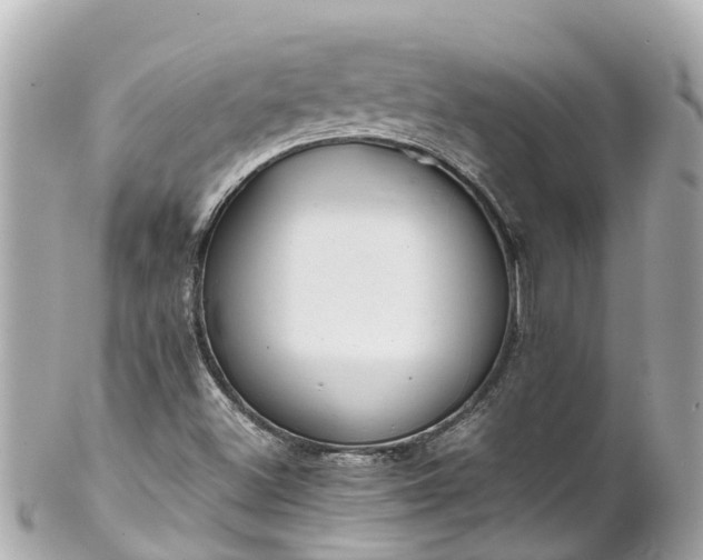 X0000102511500200808151533