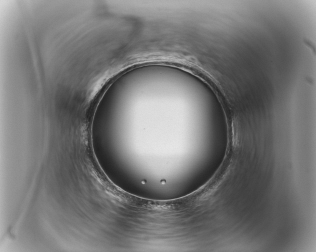X0000102511501200808151533