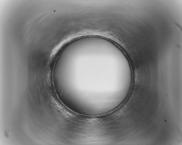 X0000102511502200808151533