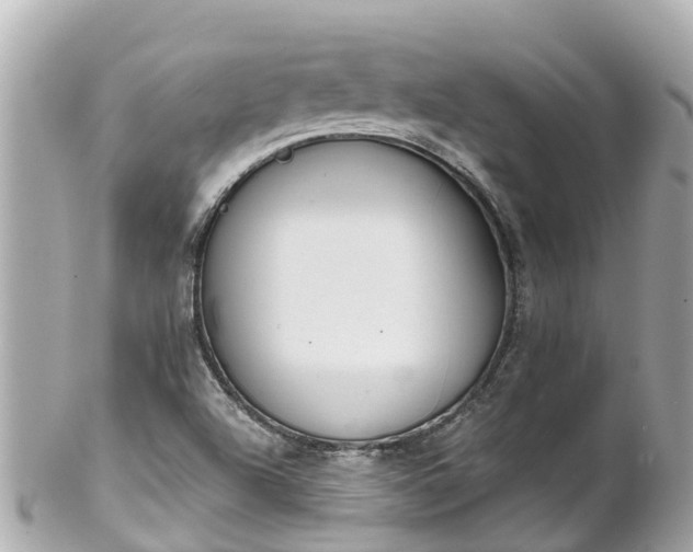 X0000102511504200808151533