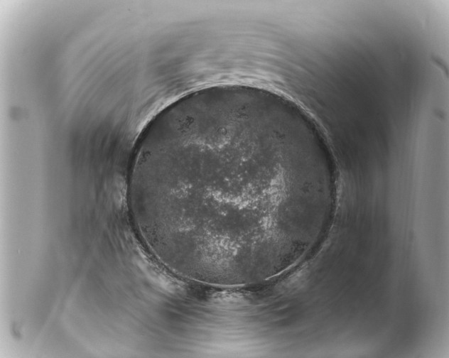 X0000102511505200808151533