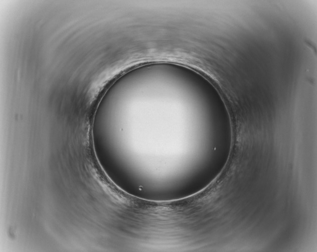 X0000102511507200808151533