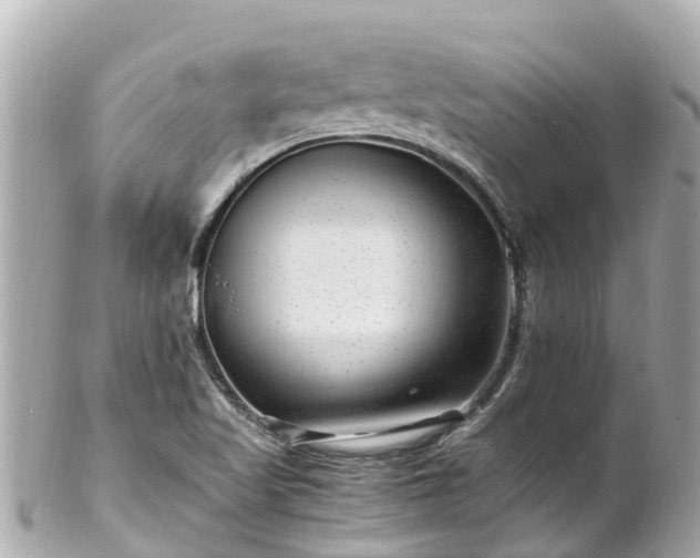 X0000102511509200808151533