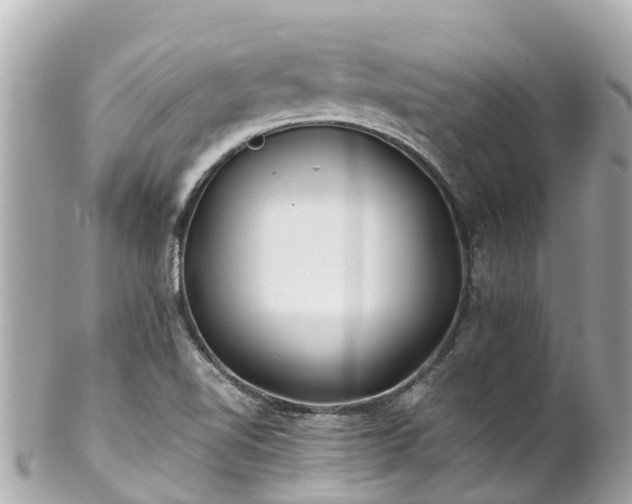 X0000102511510200808151533