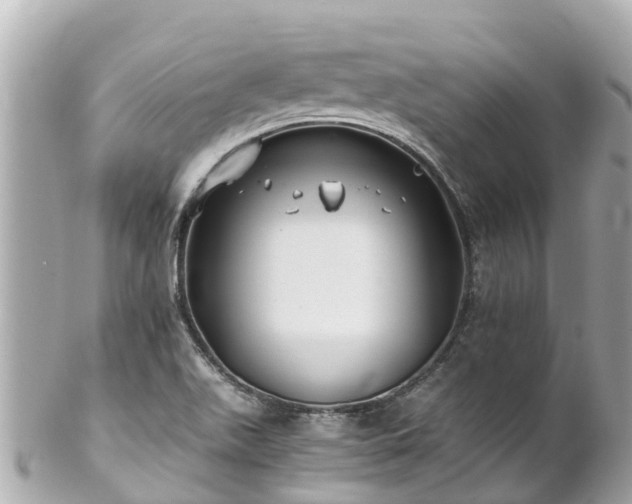 X0000102511511200808151533