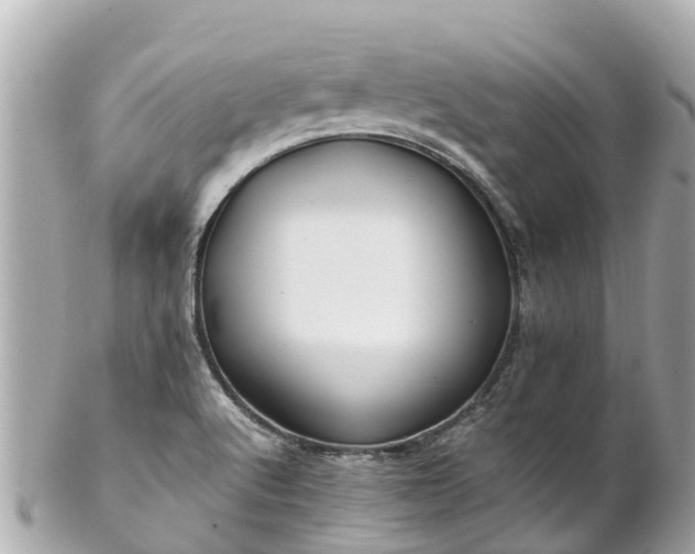 X0000102511512200808151533