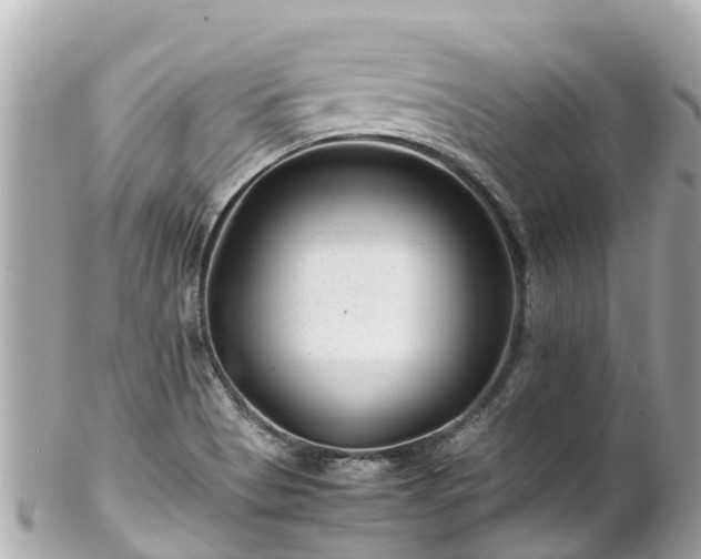 X0000102511513200808151533