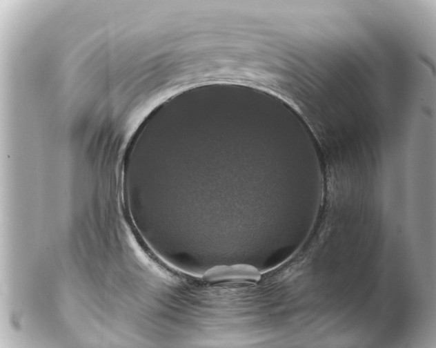 X0000102511515200808151533
