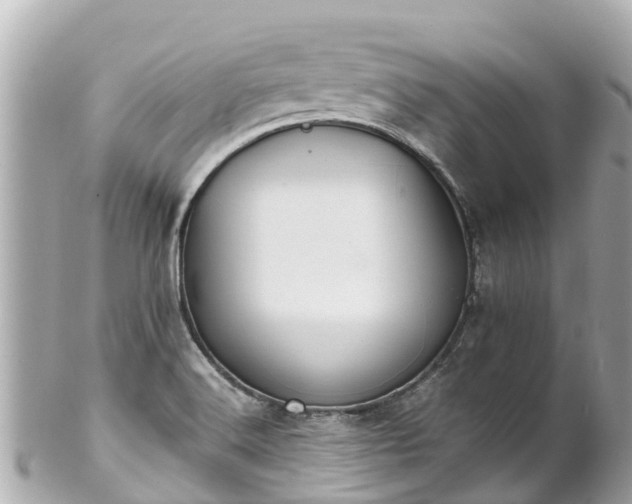 X0000102511516200808151533