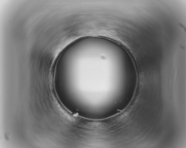 X0000102511517200808151533