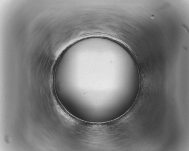 X0000102511518200808151533