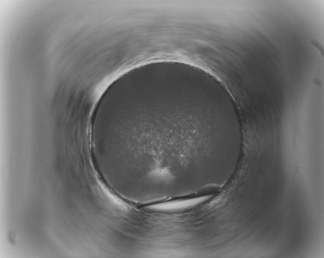 X0000102511519200808151533