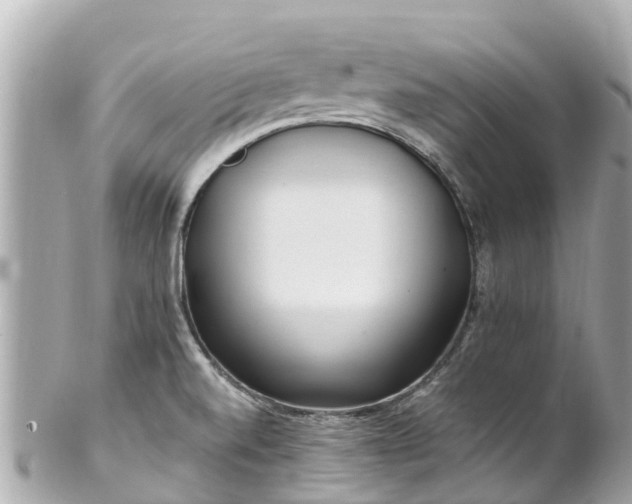 X0000102511520200808151533