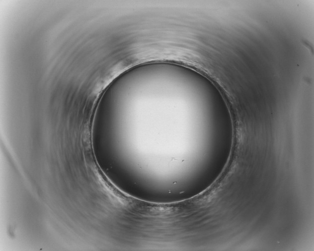 X0000102511521200808151533