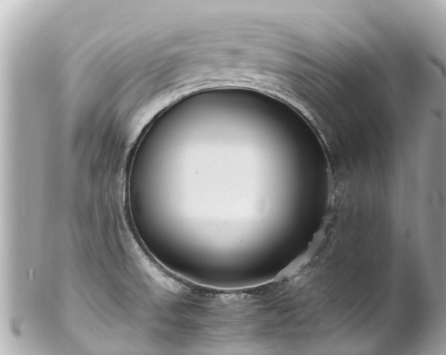 X0000102511523200808151533