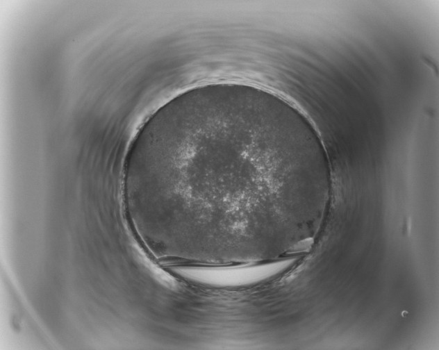 X0000102511525200808151533