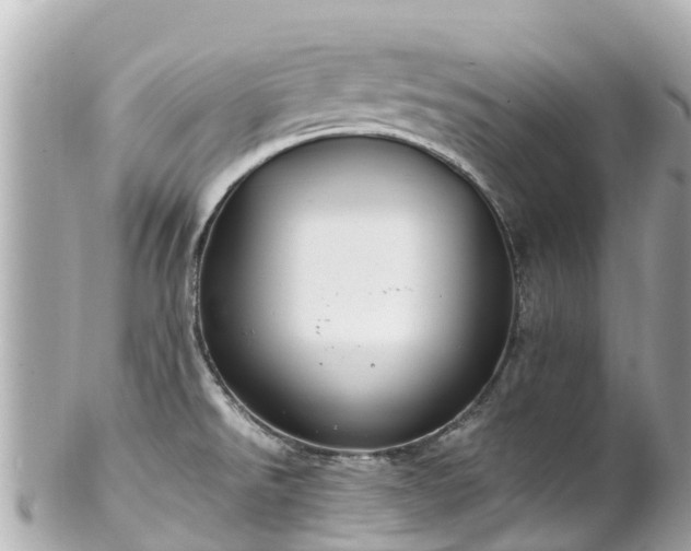 X0000102511526200808151533