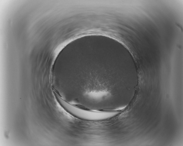 X0000102511527200808151533