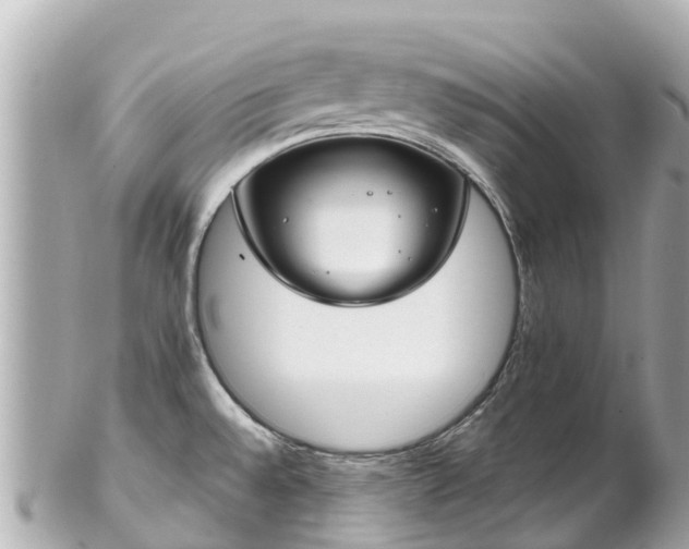 X0000102511528200808151534